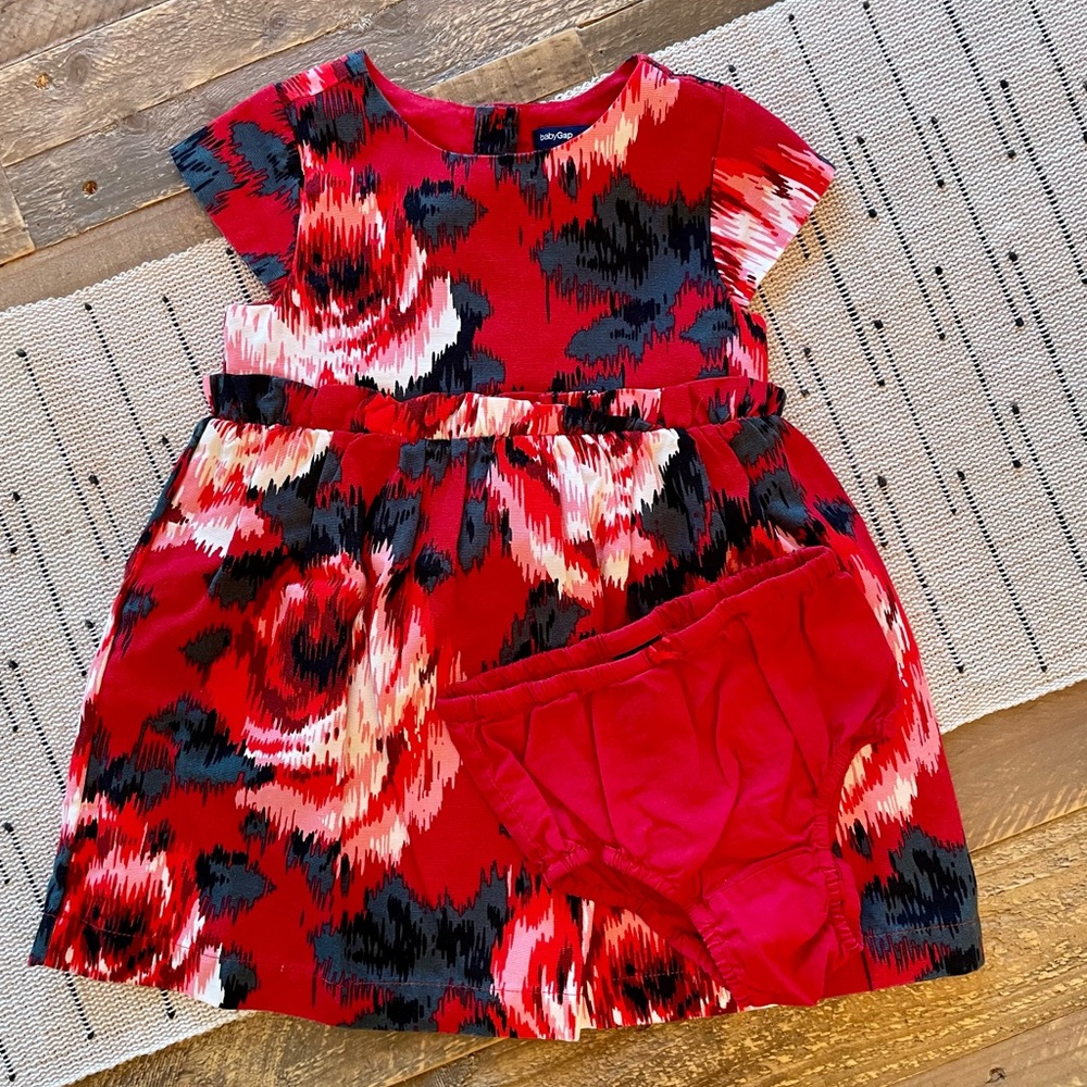 Baby GAP - Abstract Floral Rose Dress w/Diaper Cover - Size 2